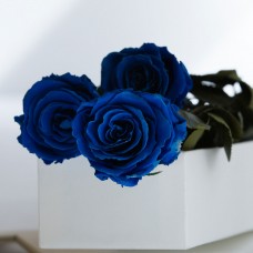 Royal Sapphire - 3 Stems In Bouquet